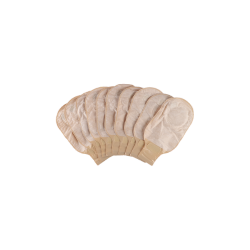 MatriSurg Two Piece Ostomy Bag(2207008F) - Image 3